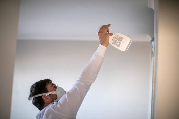 Mold Testing and Removal in Perryman, MD