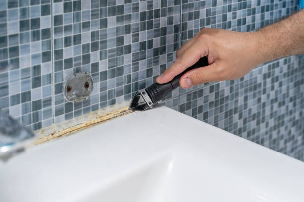Best Emergency Mold Removal  in Perryman, MD